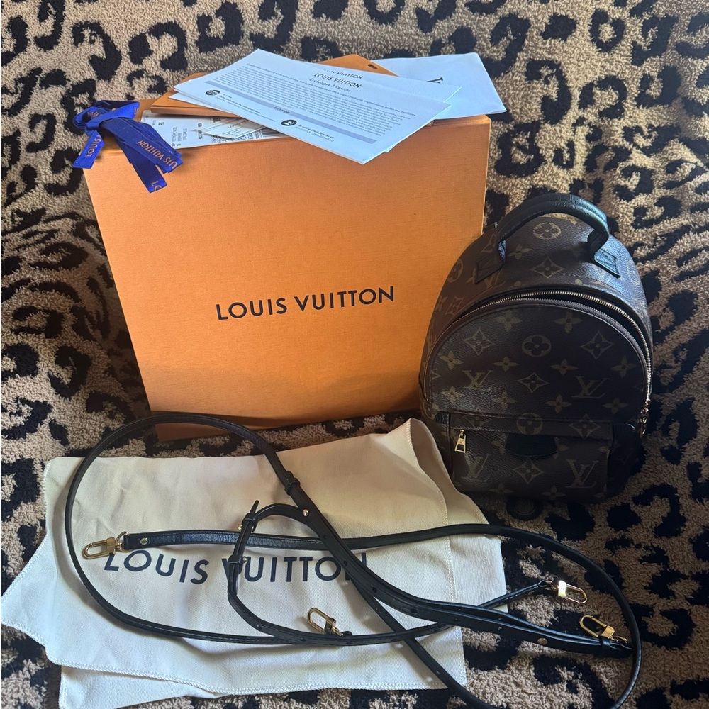 Louis Vuitton Monogram PALM SPRINGS MINI